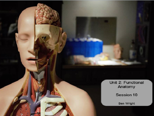 Functional Anatomy BTEC Nationals Sport and Exercise Science Unit 2 Lesson 10