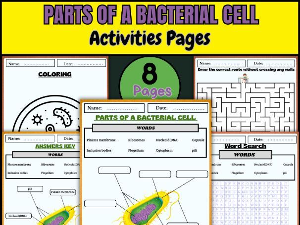 Parts of a Bacterial Cell | Labeling, Coloring, Word Search & Activities