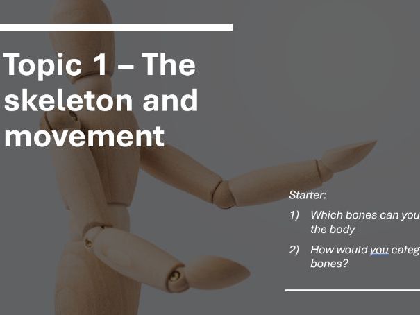 AQA GCSE PE Major bones in the skeleton and roles