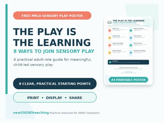FREE PMLD Sensory Play Poster – What to Look For | SEND Engagement Guide