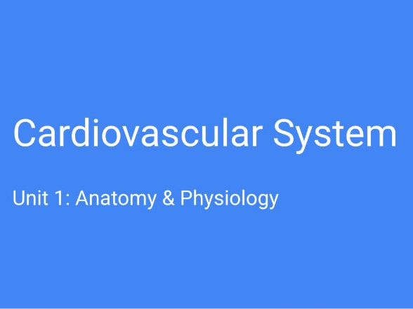 BTEC Unit 1 - A&P - Cardiovascular System