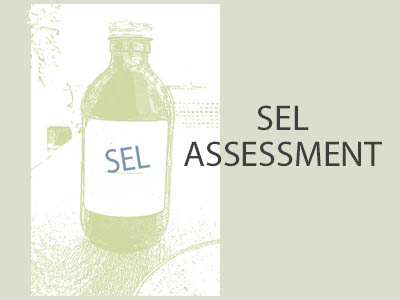 SEL (Social Emotional Learning) Assessment Worksheet (US)