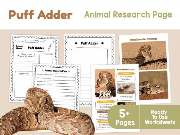 Puff Adder Fact File | African Reptiles and Adaptations
