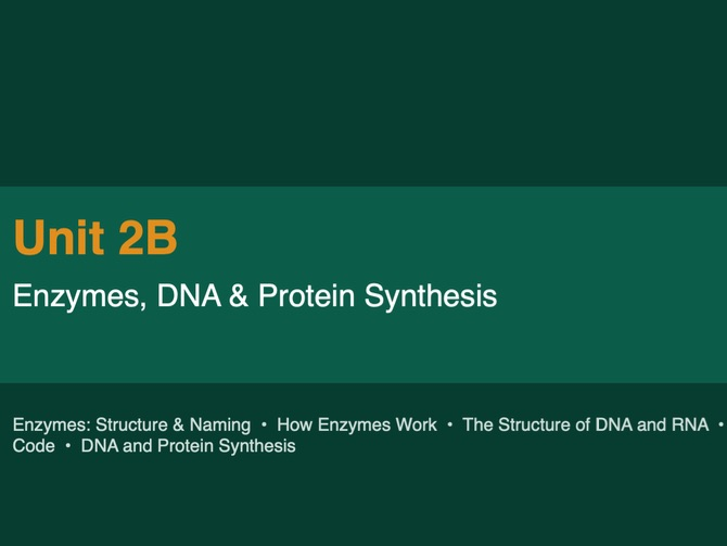 AS Biology International 2B- Proteins and DNA -Edexcel