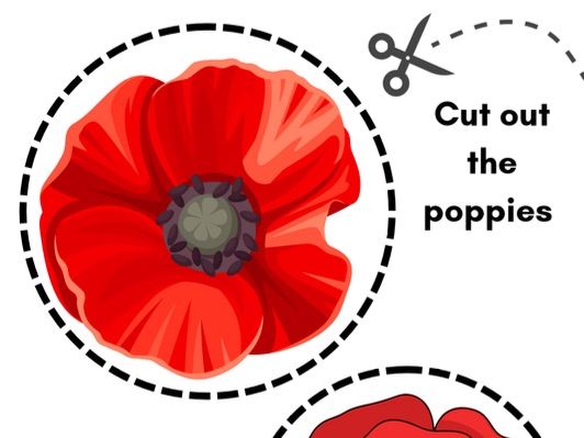 Remembrance day poppies cut out poppies