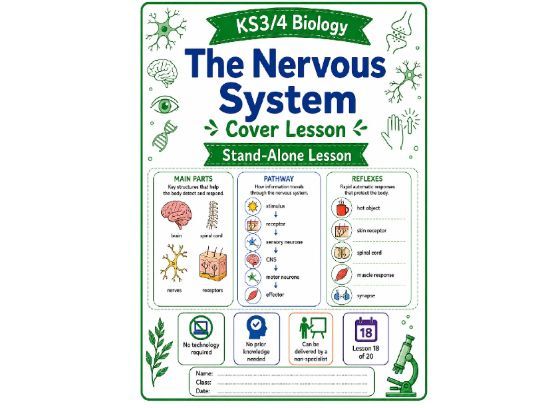Nervous system cover lesson (L18) Biology