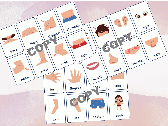 Flashcards - Body Parts