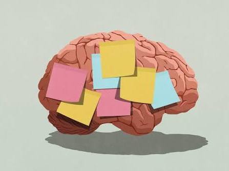 IGCSE Cambridge Psychology 0266 Memory topic