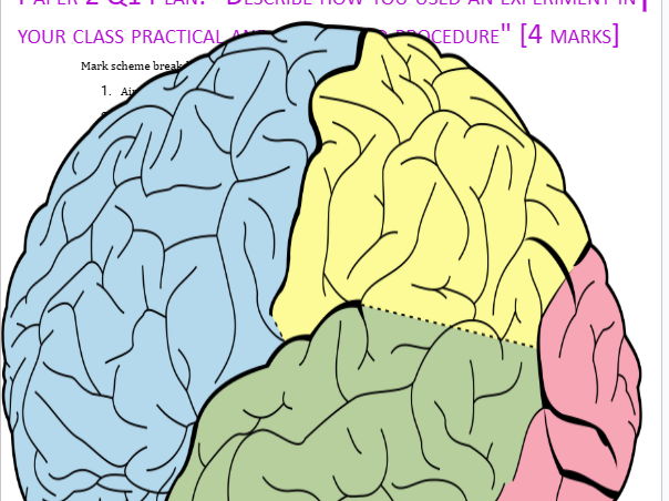 IB Psychology (2027) Paper 2 Q1 plan and example answer