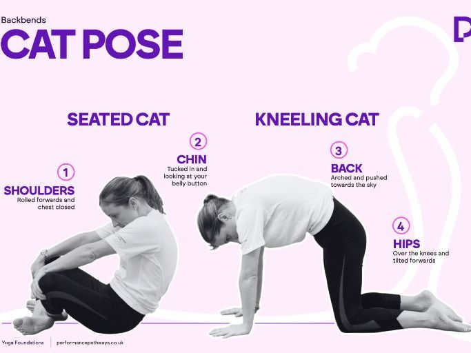 Cat-Cow Lesson