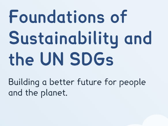 Sustainability -Foundations of Sustainability and the UN SDGs