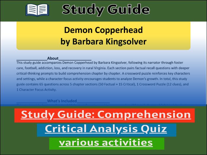 Study Guide for Demon Copperhead  & Comprehension ����Vlogt
