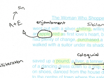 Feminine Gospels, Duffy: The Woman Who Shopped, poem analysis