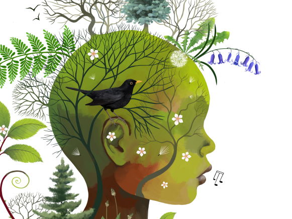 Forest School Practitioner Portfolio Pack