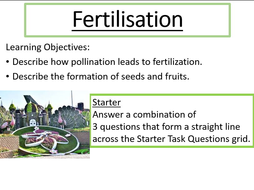 Fertilisation (Plant Reproduction)