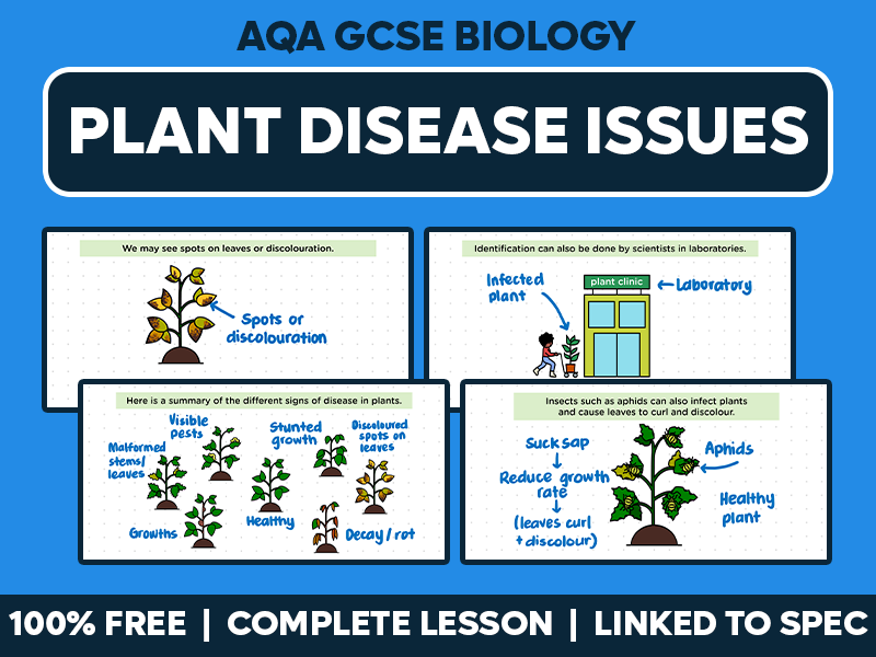GCSE AQA Biology Complete Lesson - Plant Disease Issues