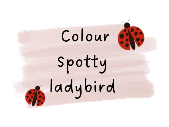 Colourful Spotty Ladybird