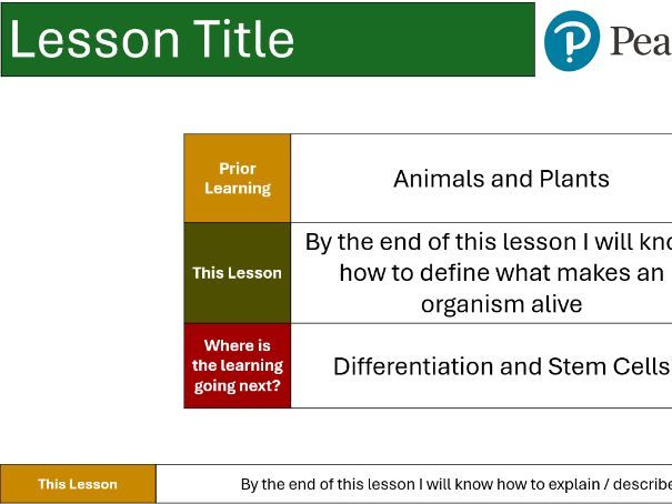 Customisable Slide Master Presentation Power Point
