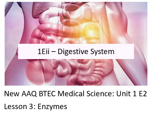 NEW: AAQ BTEC Medical Science Unit 1Eii Digestive System – Lesson 3