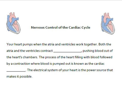 A&P CV System: Nervous Control of the Cardiac Cycle Cloze