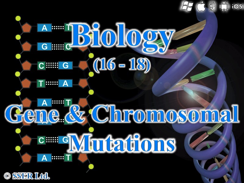 BioA_3.8.1 Gene and Chromosomal Mutations