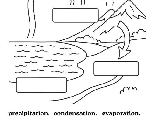 The Water Cycle - Colouring and Labelling Sheet (geography)