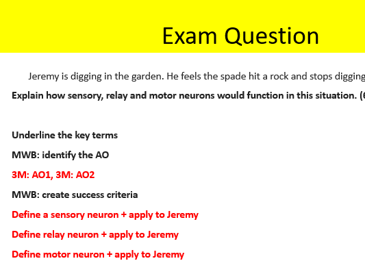 Old spec AQA Psychology neurons and synaptic transmission