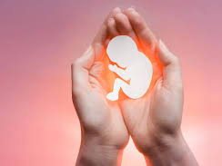 Miscarriage and Fertility Challenges