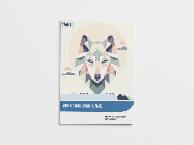 Animals Including Humans Y4 Booklet | Digestion, Teeth & Food Chains