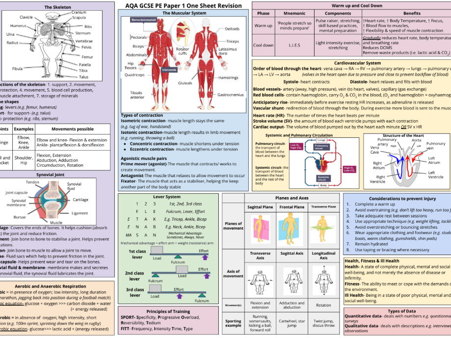 AQA GCSE PE Paper 1 & 2 One Sheet Revision Pages