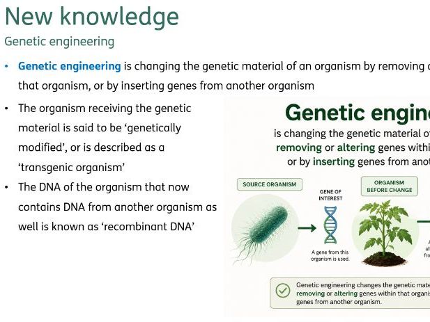 Genetic engineering