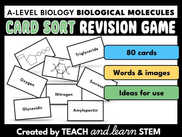 Biological Molecules Card Sort Revision Game | Consolidation | Review | First Lesson Activity