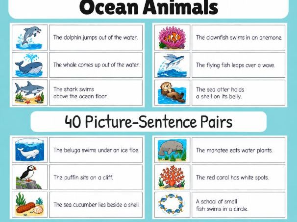 Ocean Animals | First Sentences | Grades 1-2