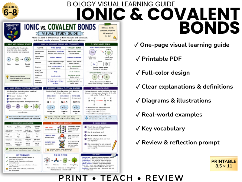 IONIC & COVALENT BONDS Biology Visual Learning Guide | Grade 8 & Middle School Science