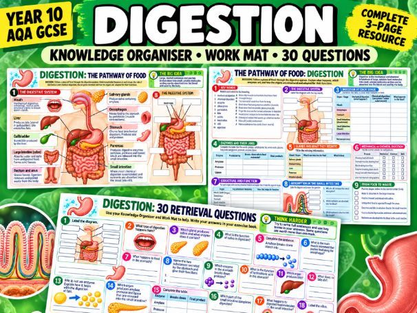 GCSE Biology Cells – End of Unit Revision | Knowledge Organiser, Work Mat & 30 Questions | AQA