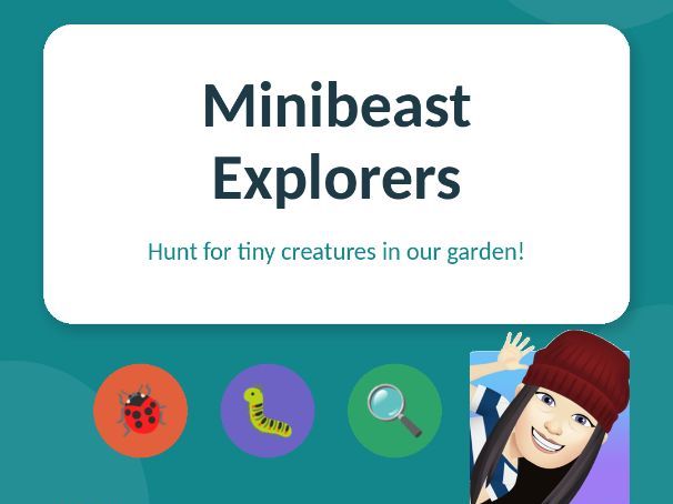 Reception - Minibeasts