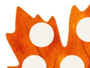 Autumn leaves - fine motor activity EYFS