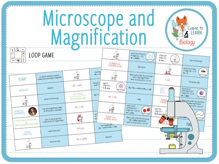 Microscopes and magnification Loop Game (KS3/4) Teaching Resources