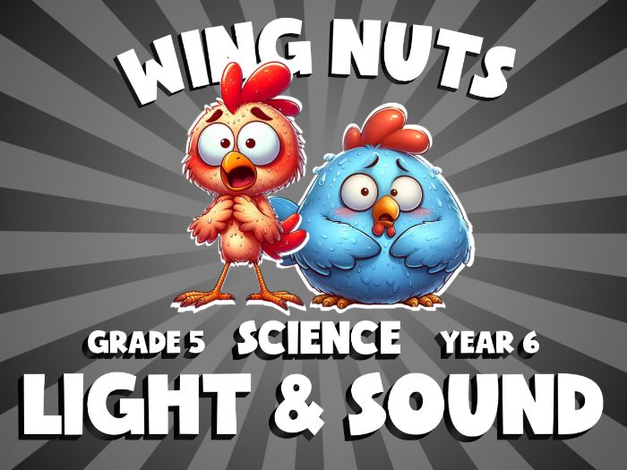 Light & Sound WING NUTS Science Game | No-Prep Year 6 Review Activity