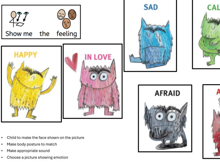 The Colour Monster Emotional Regulation Activity Pack