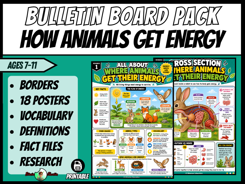 How Animals Get Energy | Bulletin Board Display | Posters, Timeline, Map & Vocab