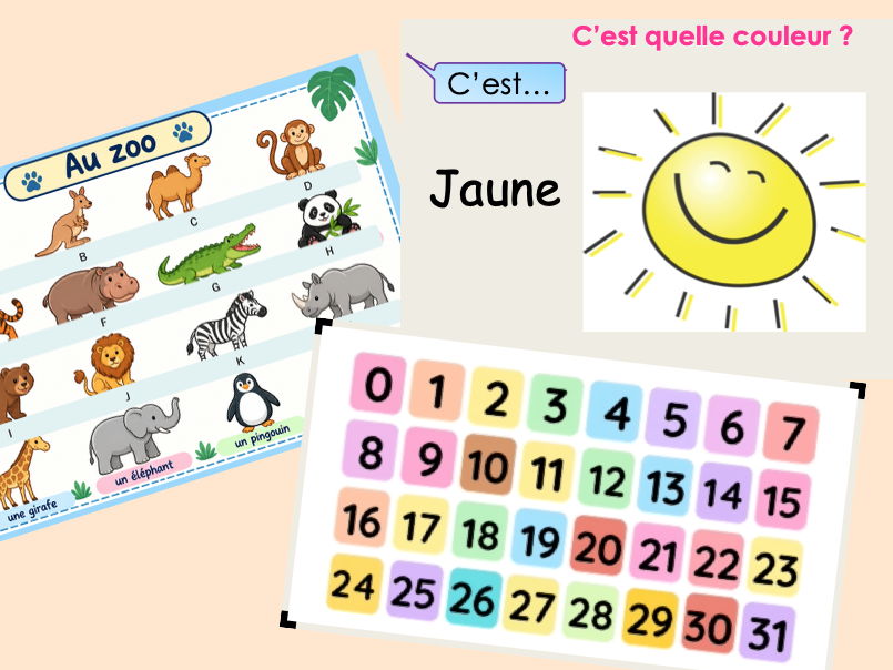 Year 7 French Bundle | Numbers, Animals & Colours | 4 KS3 Lessons + Grammar