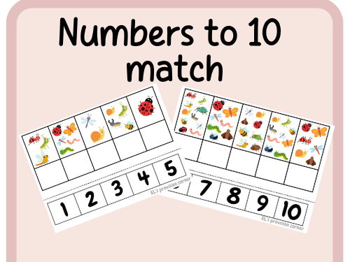Numbers to 10 count and match- bugs- minibeasts