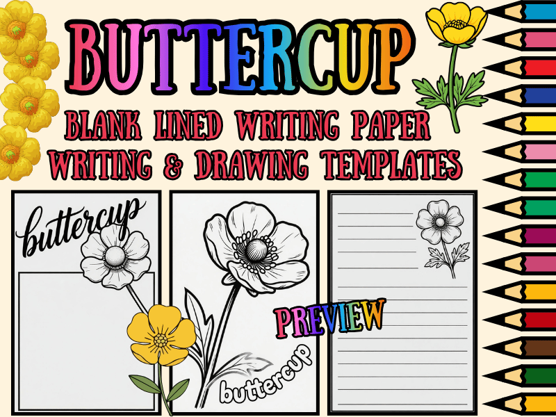 Buttercup Flower Lined Writing Paper Templates & Coloring Pages | NO PREP Pack