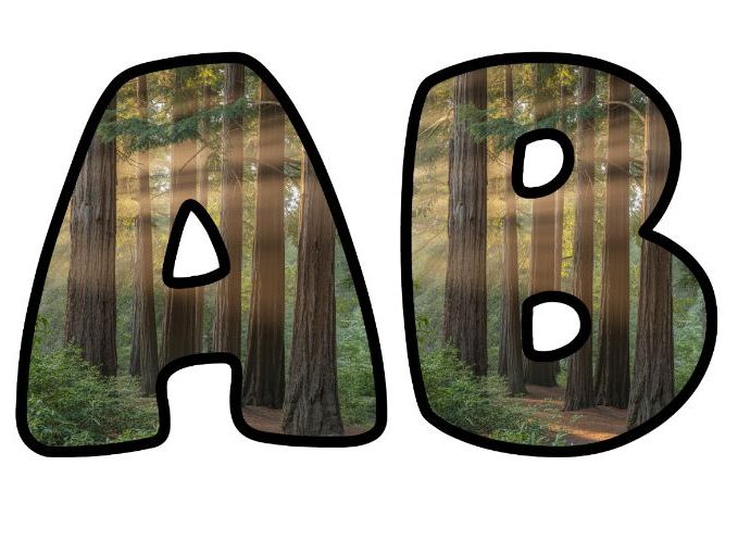 Redwood Trees-America USA Parks Lettering Set | Classroom Display | Upper & Lowercase, 0-9 and Signs