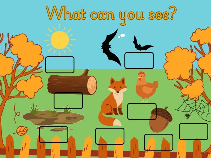 EYFS CVC & Early Reading – What Can You See?