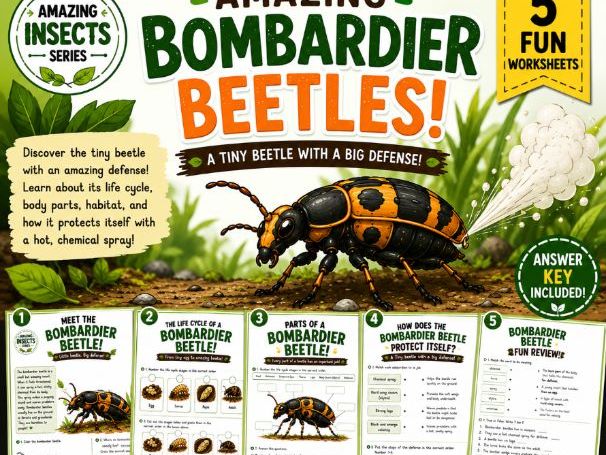 Amazing Bombardier Beetles |Life Cycle, Anatomy & Chemical Defence| Ages 6-10