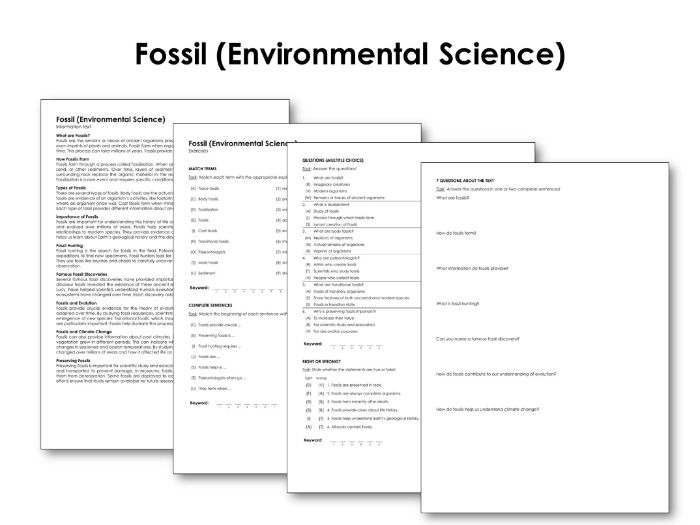 Fossil (Environmental Science) Teaching Resources