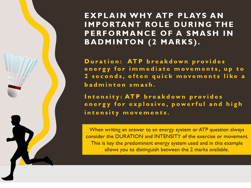 A Level PE, Energy for Exercise ATP as an energy currency