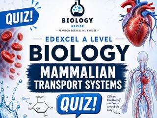 Edexcel Biology AS- level Mammalian Transport Systems Quiz